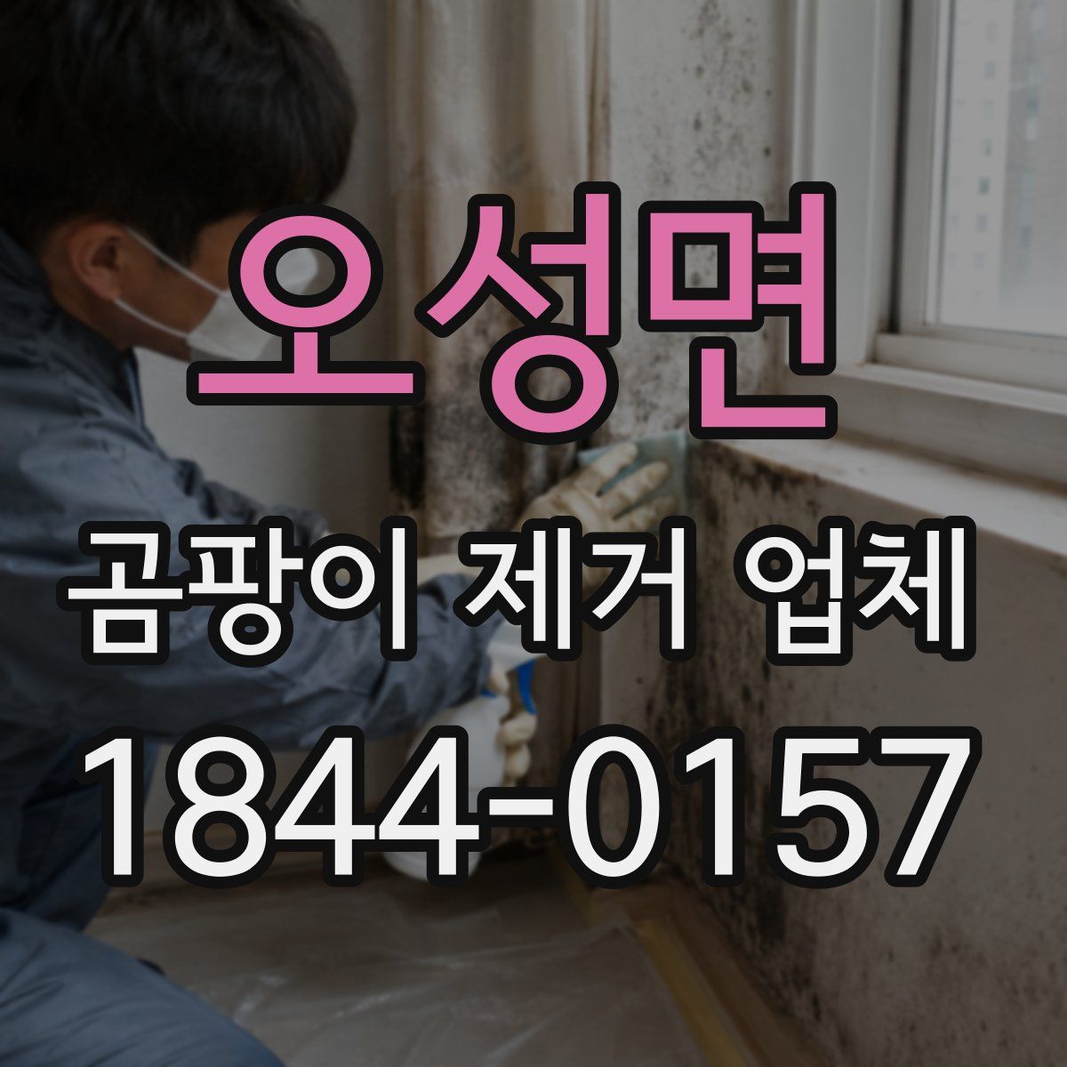 오성면 곰팡이 제거 업체