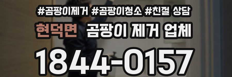 현덕면 곰팡이 제거 업체