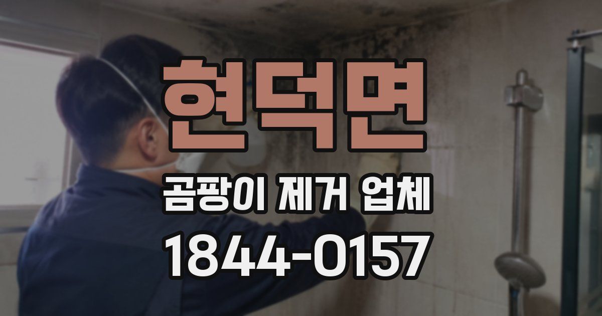 현덕면 곰팡이 제거 업체