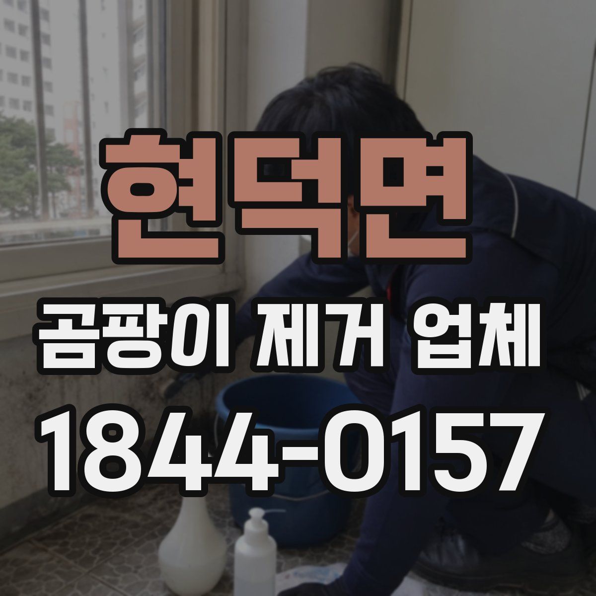 현덕면 곰팡이 제거 업체