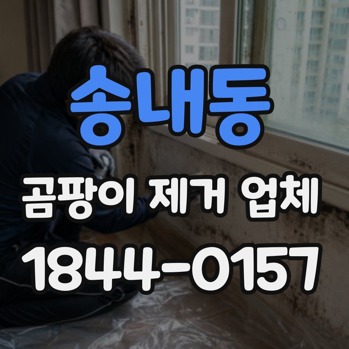 송내동 곰팡이 제거 업체