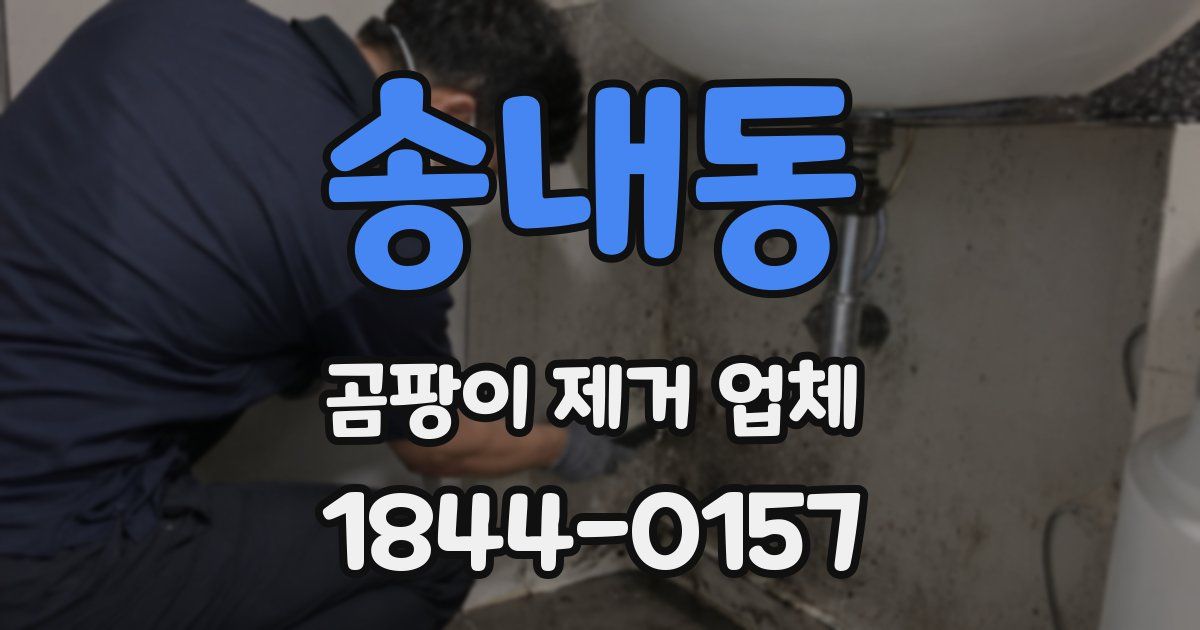 송내동 곰팡이 제거 업체