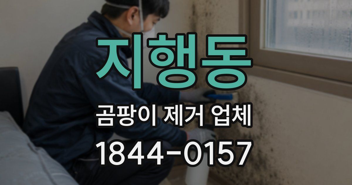지행동 곰팡이 제거 업체