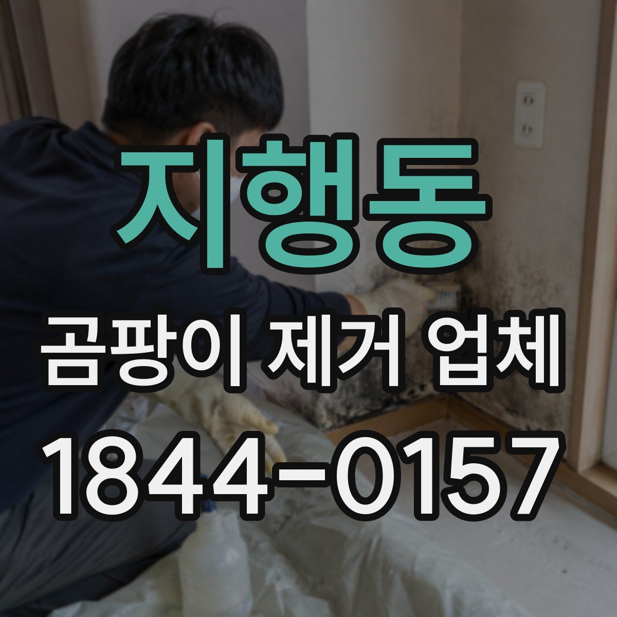 지행동 곰팡이 제거 업체
