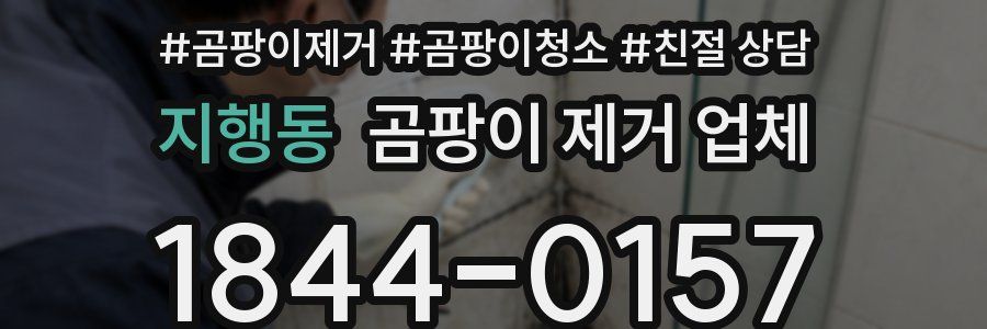 지행동 곰팡이 제거 업체
