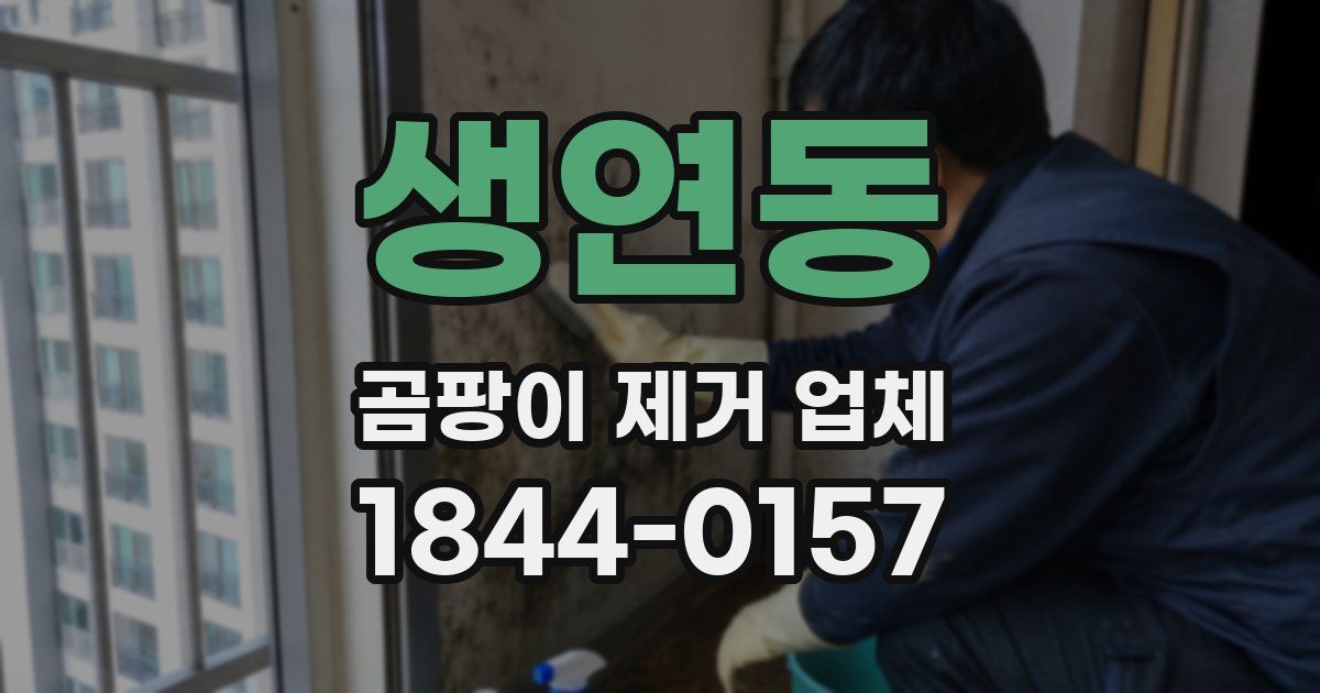 생연동 곰팡이 제거 업체