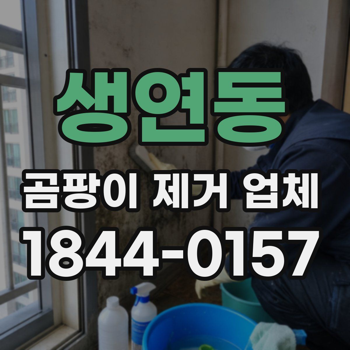 생연동 곰팡이 제거 업체