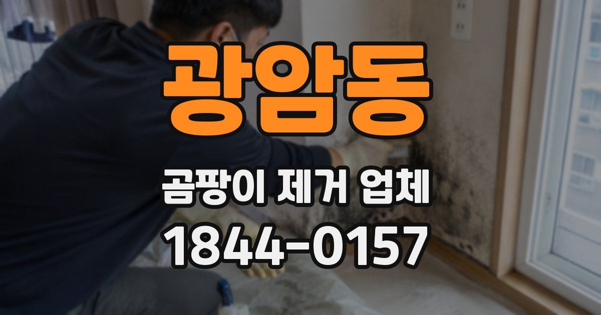 광암동 곰팡이 제거 업체