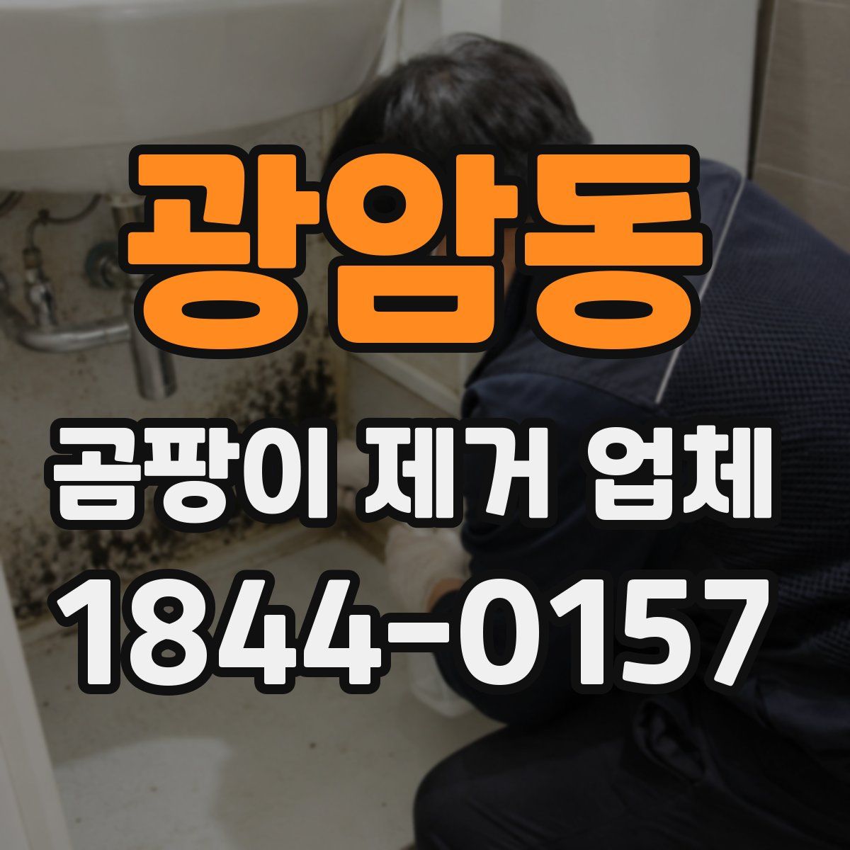 광암동 곰팡이 제거 업체