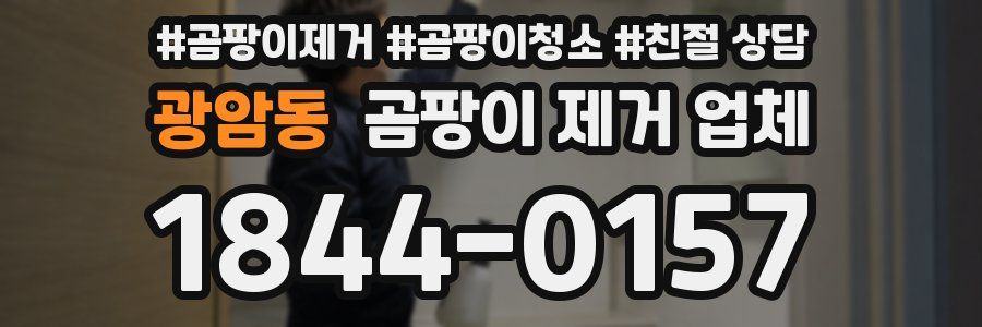 광암동 곰팡이 제거 업체