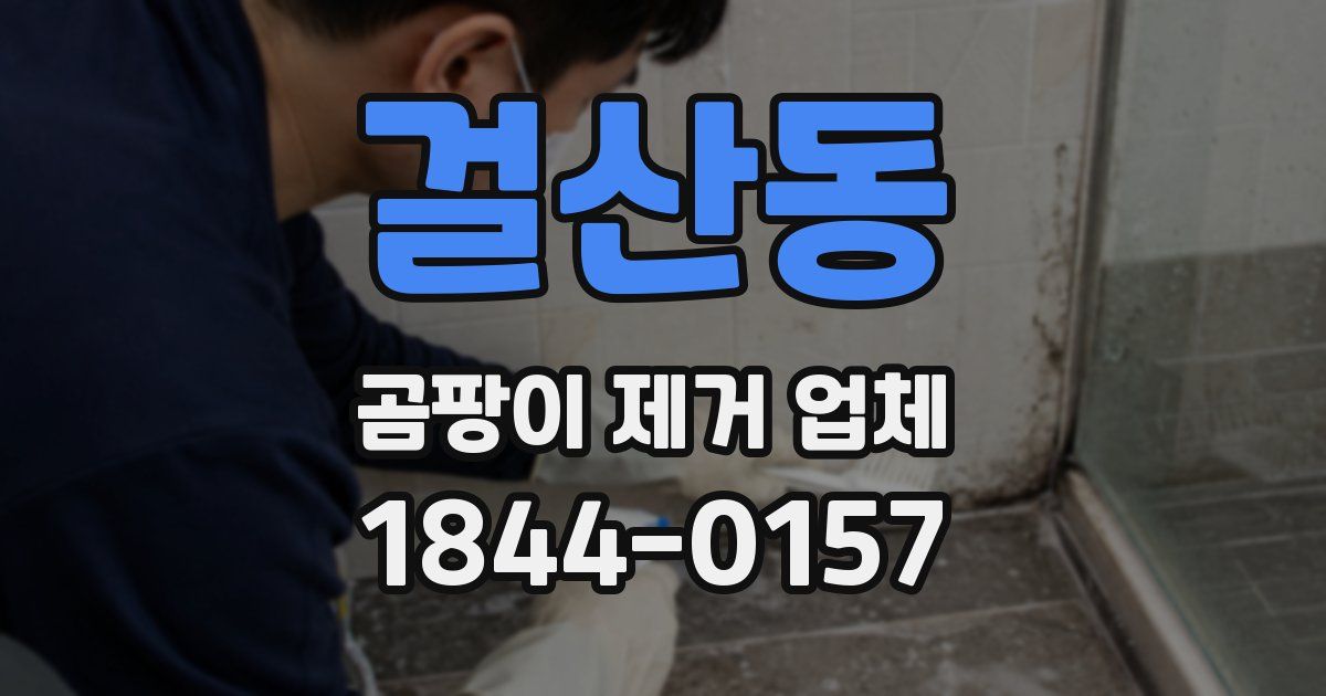 걸산동 곰팡이 제거 업체