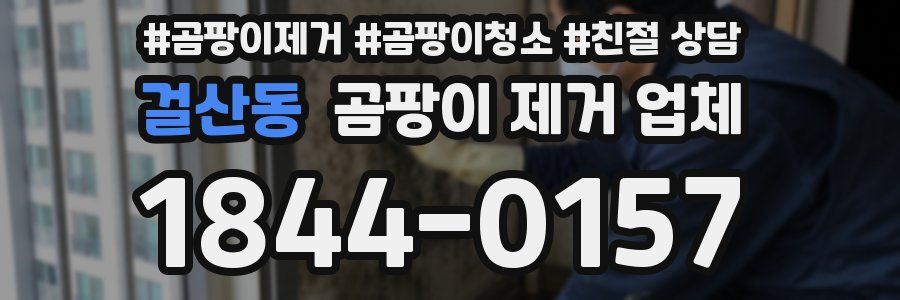 걸산동 곰팡이 제거 업체