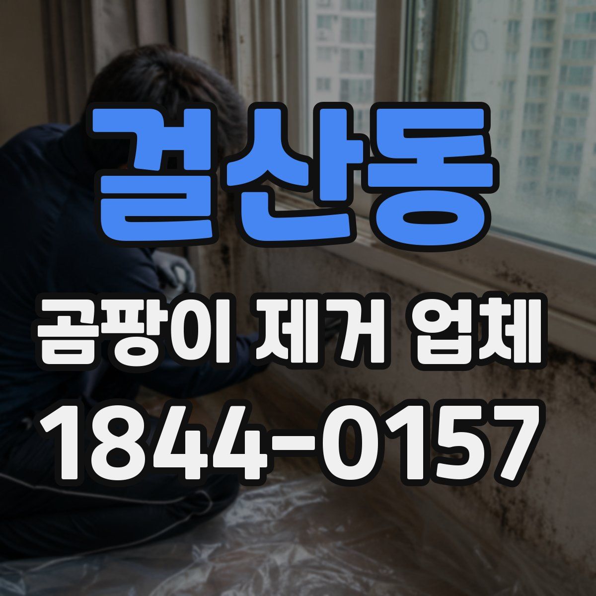 걸산동 곰팡이 제거 업체