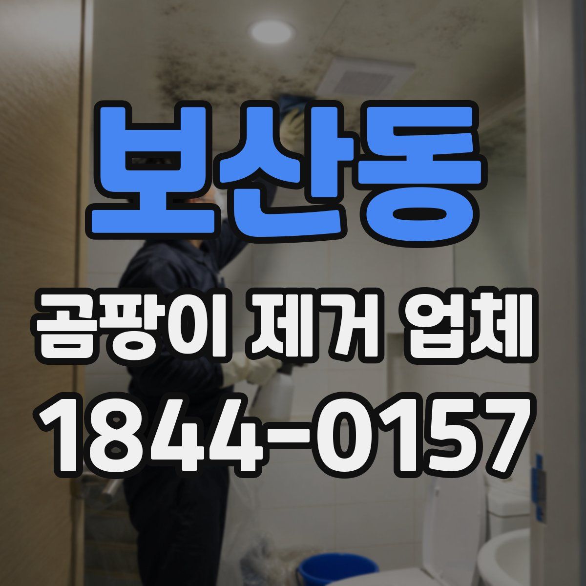 보산동 곰팡이 제거 업체
