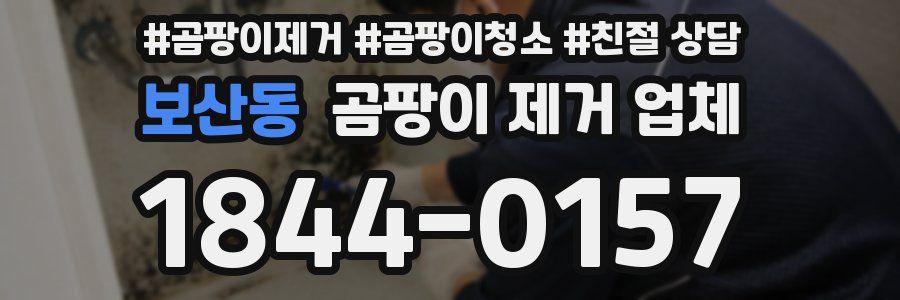 보산동 곰팡이 제거 업체