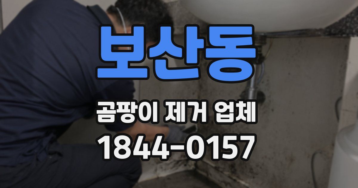 보산동 곰팡이 제거 업체