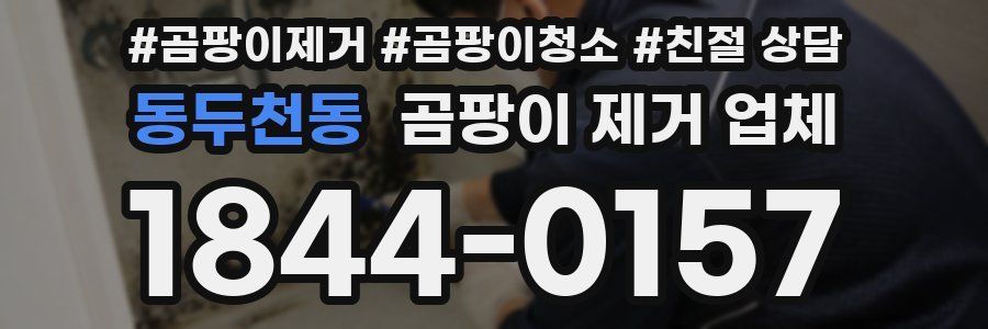 동두천동 곰팡이 제거 업체
