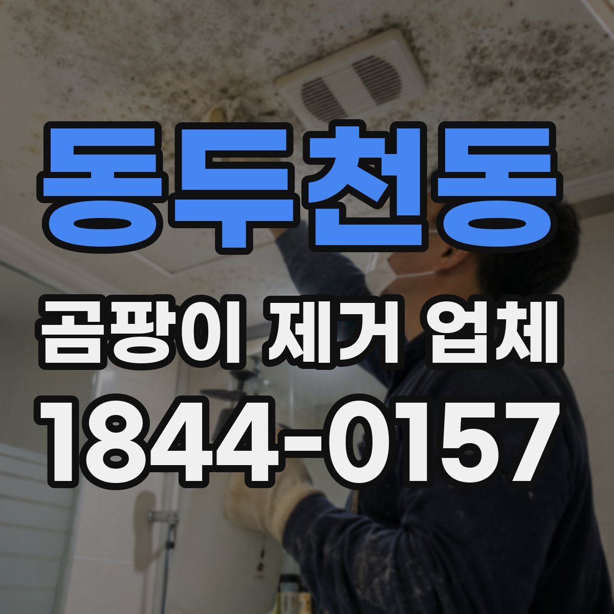 동두천동 곰팡이 제거 업체