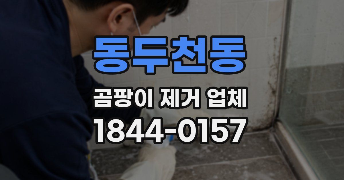 동두천동 곰팡이 제거 업체