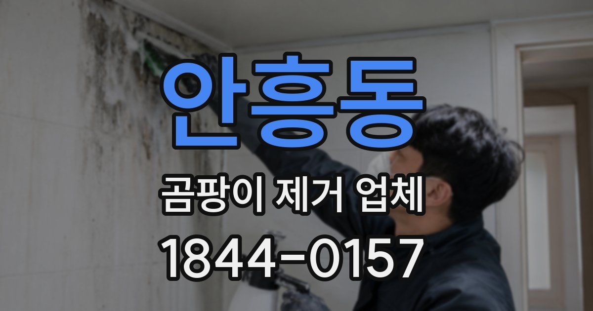 안흥동 곰팡이 제거 업체