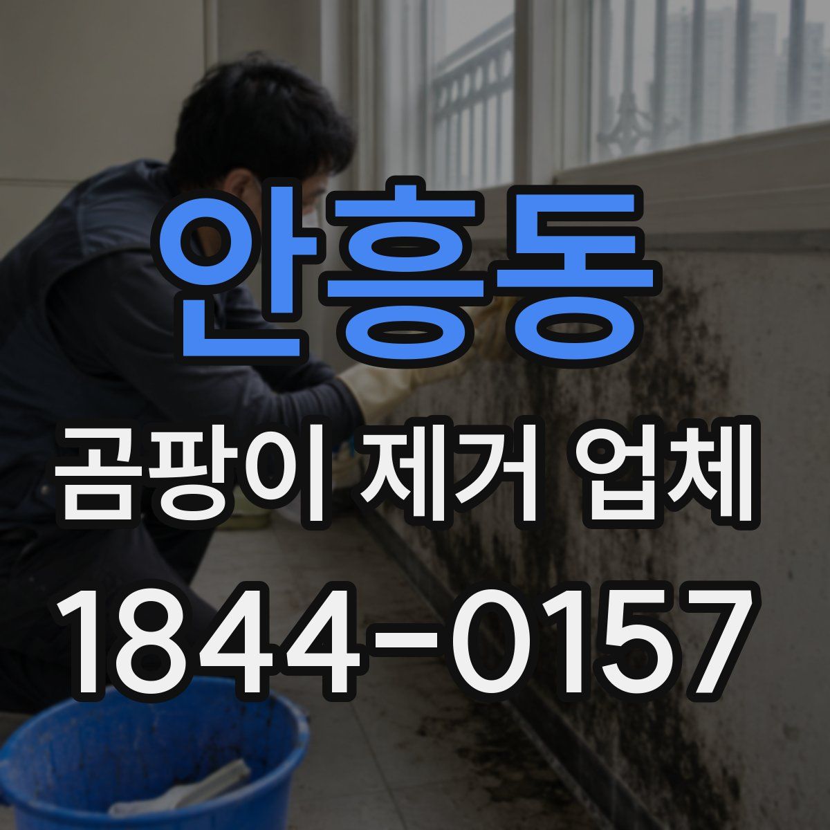 안흥동 곰팡이 제거 업체