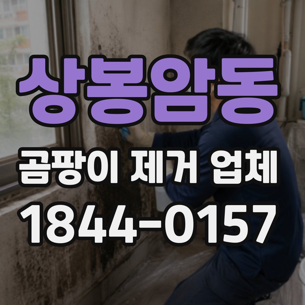 상봉암동 곰팡이 제거 업체