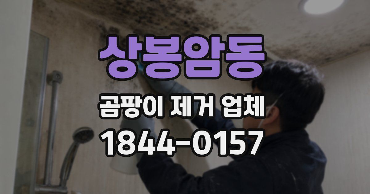 상봉암동 곰팡이 제거 업체