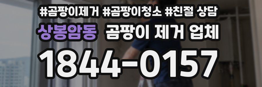 상봉암동 곰팡이 제거 업체