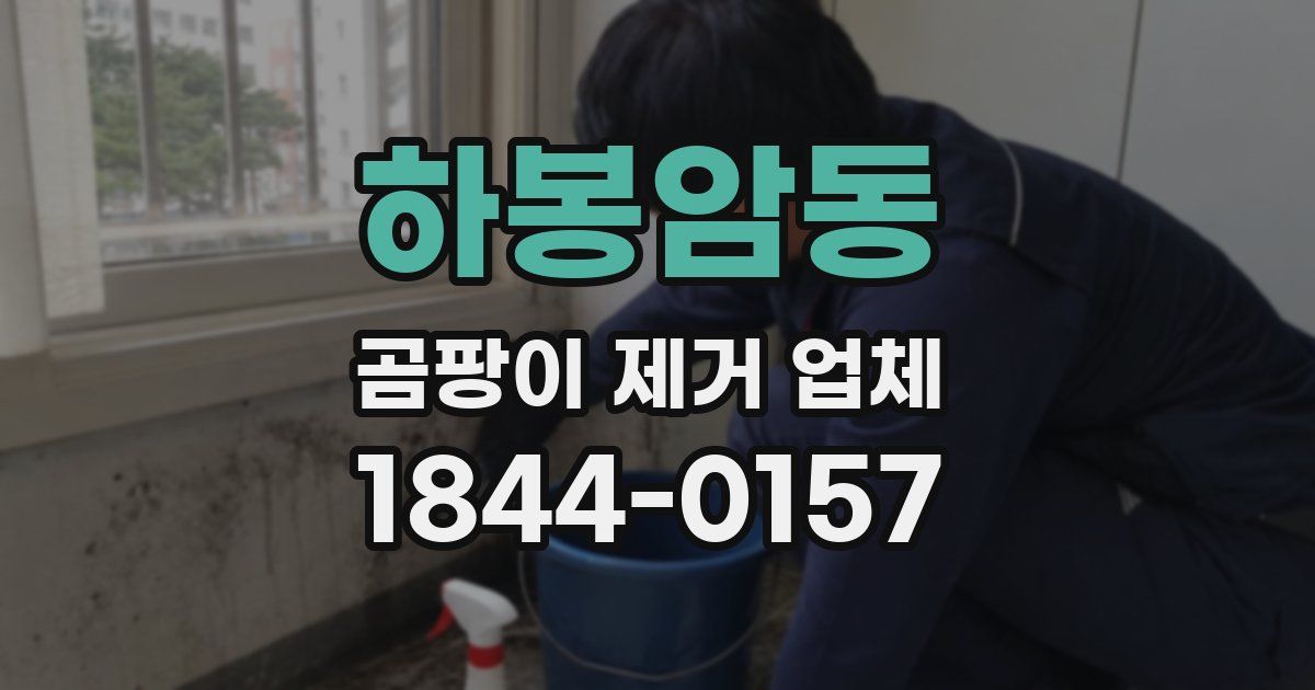 하봉암동 곰팡이 제거 업체