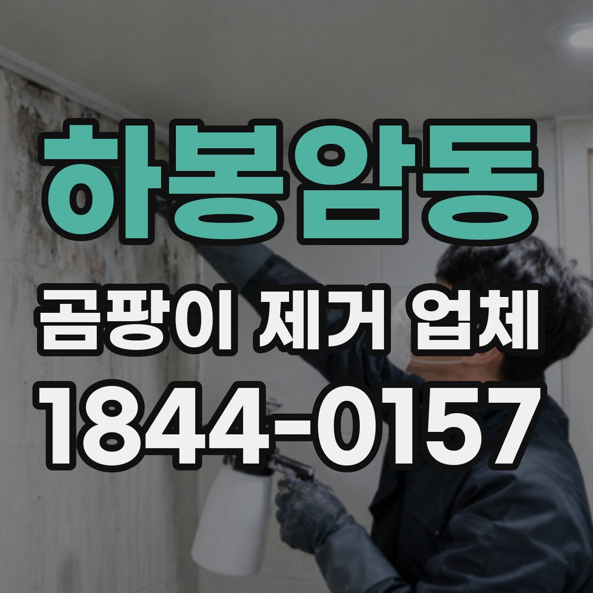 하봉암동 곰팡이 제거 업체