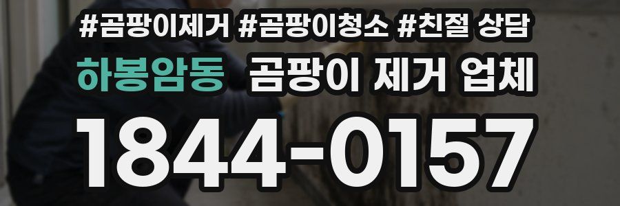 하봉암동 곰팡이 제거 업체