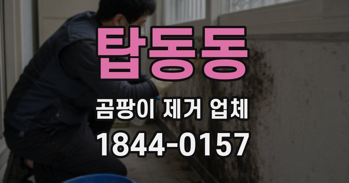 탑동동 곰팡이 제거 업체
