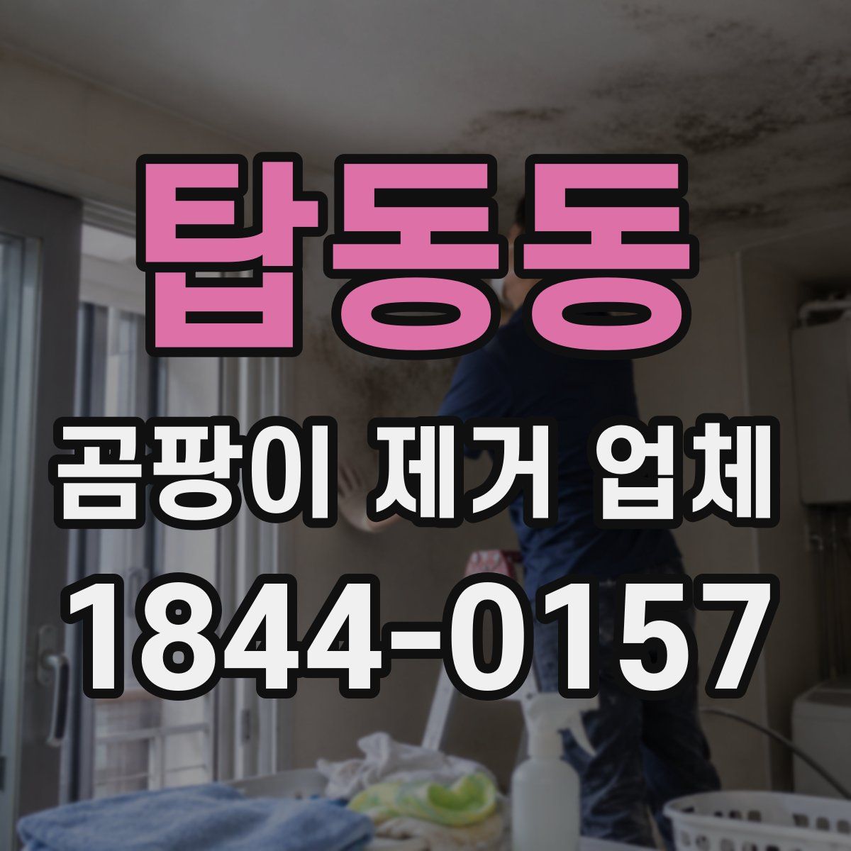 탑동동 곰팡이 제거 업체