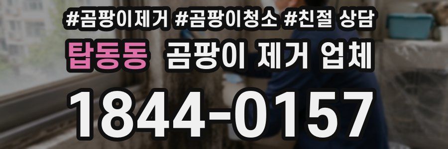 탑동동 곰팡이 제거 업체