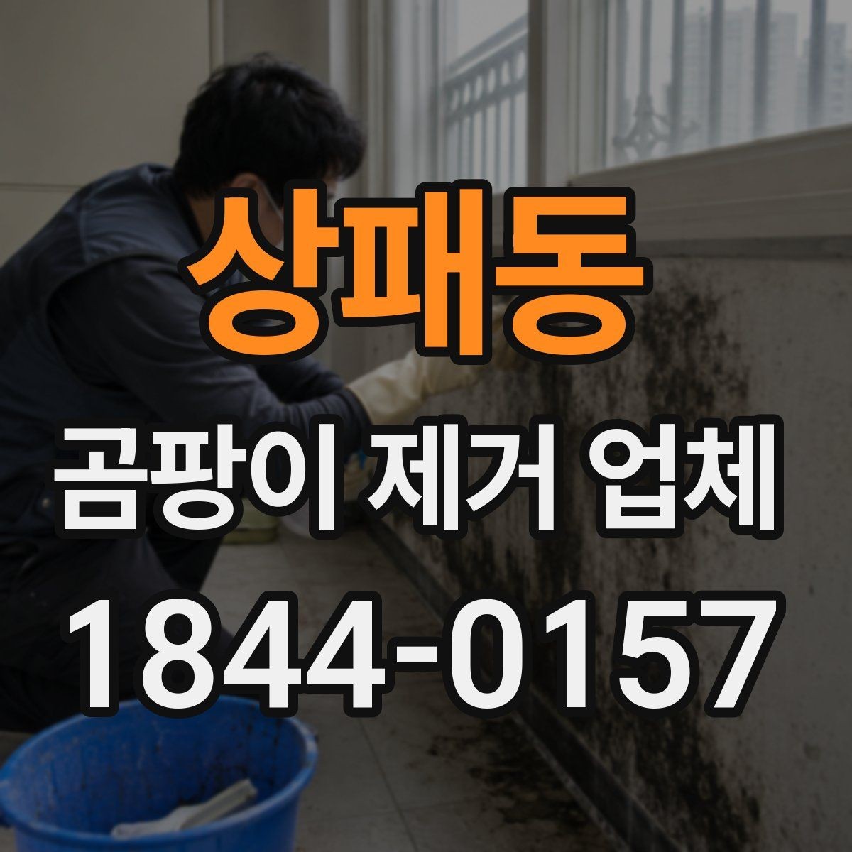 상패동 곰팡이 제거 업체 상담 시 확인할 작업 일정