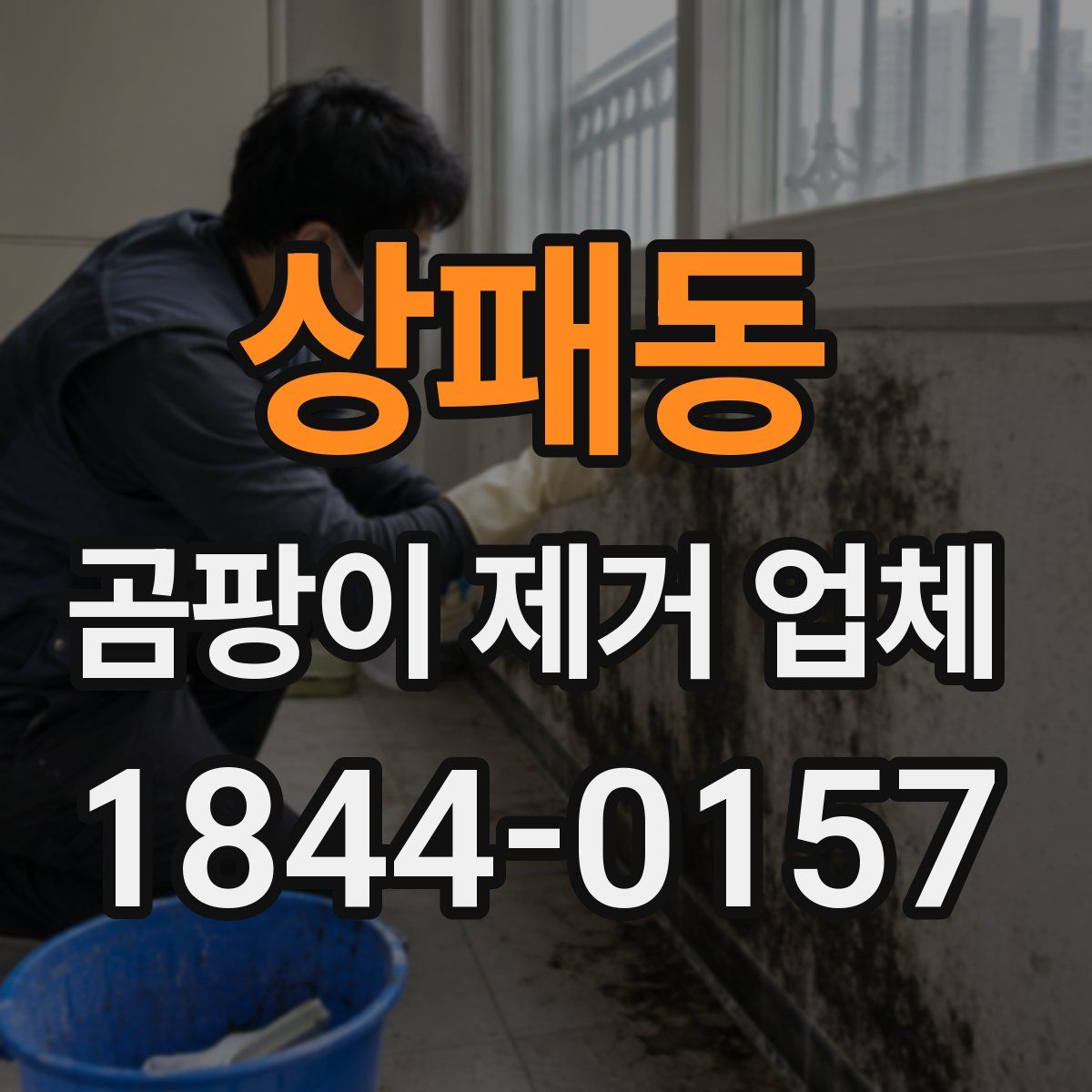 상패동 곰팡이 제거 업체