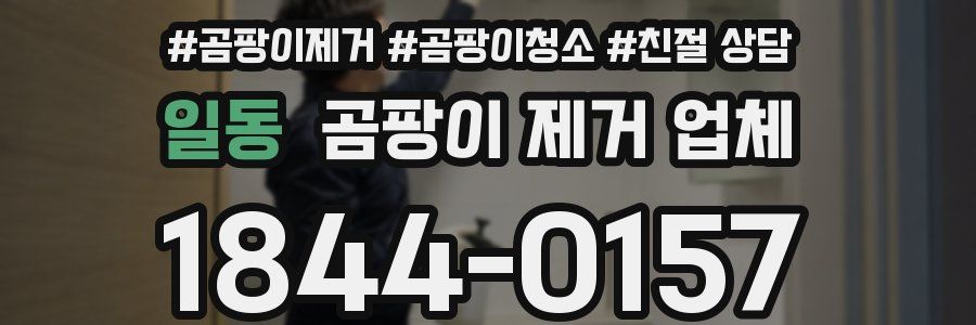 일동 곰팡이 제거 업체