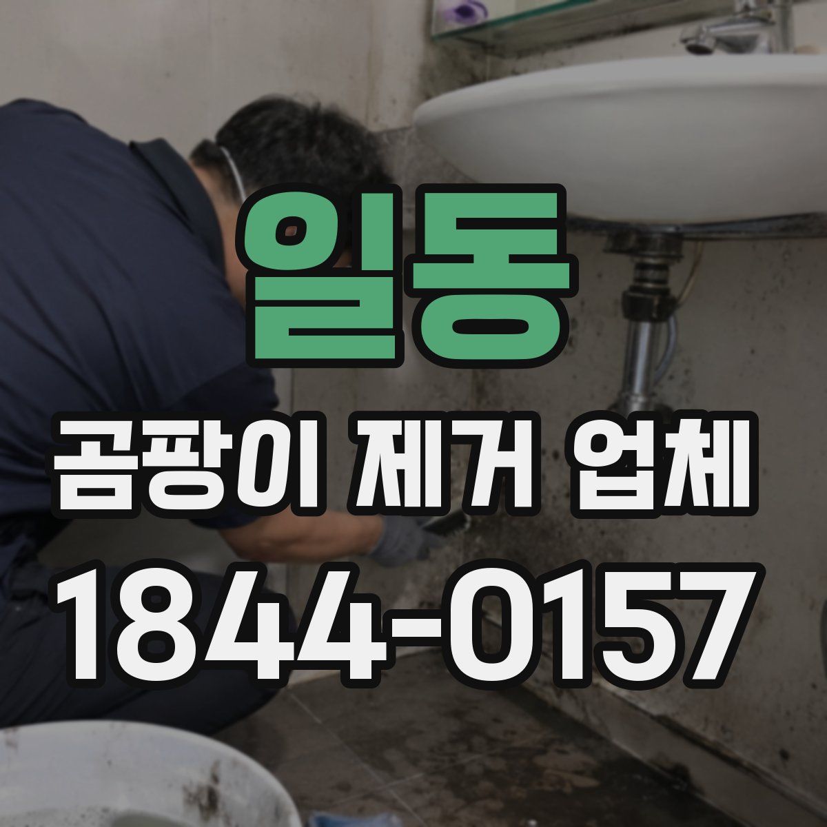 일동 곰팡이 제거 업체