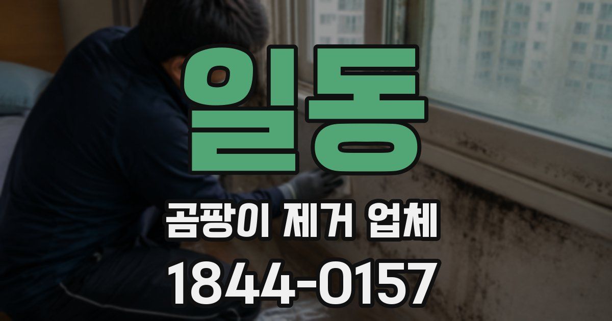 일동 곰팡이 제거 업체