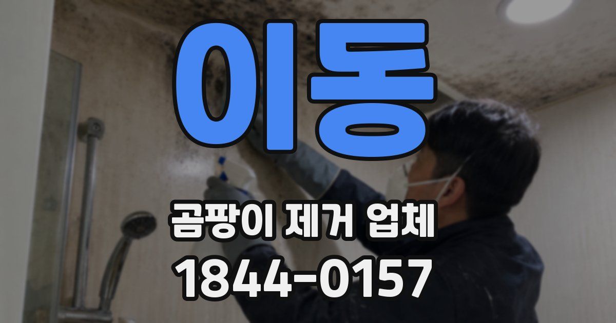 이동 곰팡이 제거 업체