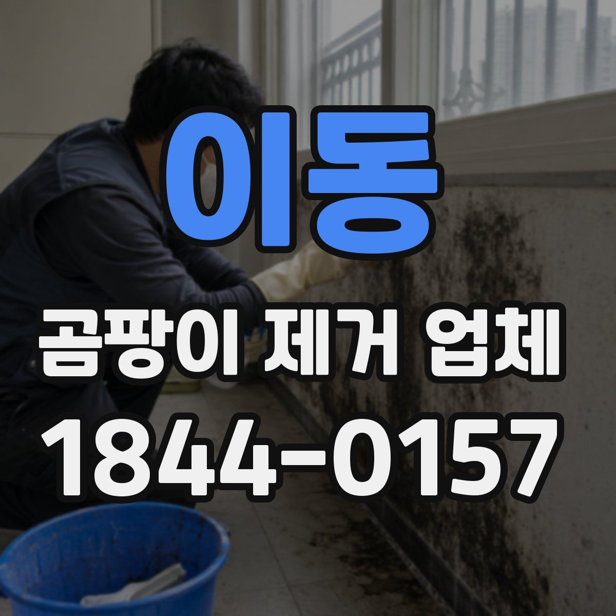 이동 곰팡이 제거 업체