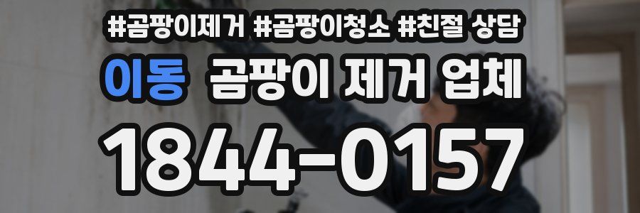 이동 곰팡이 제거 업체