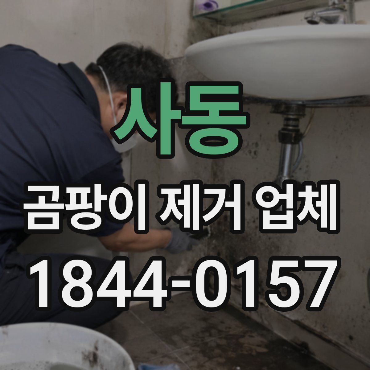 사동 곰팡이 제거 업체