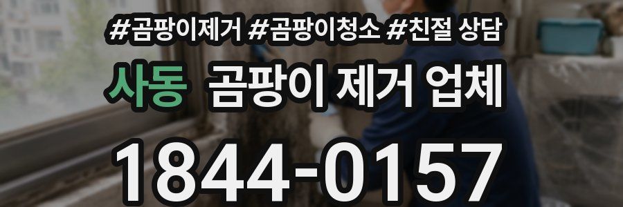 사동 곰팡이 제거 업체
