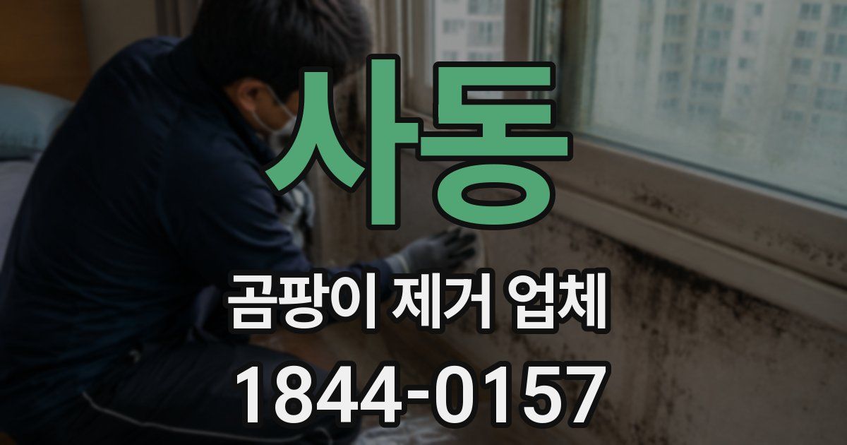 사동 곰팡이 제거 업체