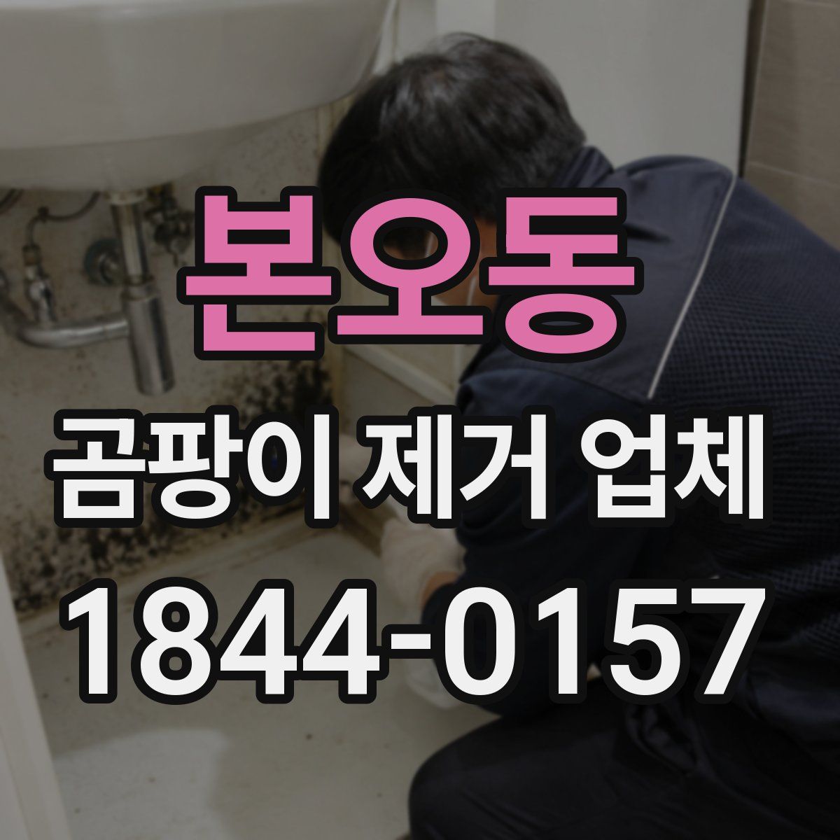 본오동 곰팡이 제거 업체