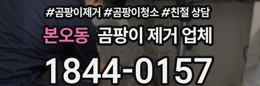 본오동 곰팡이 제거 업체