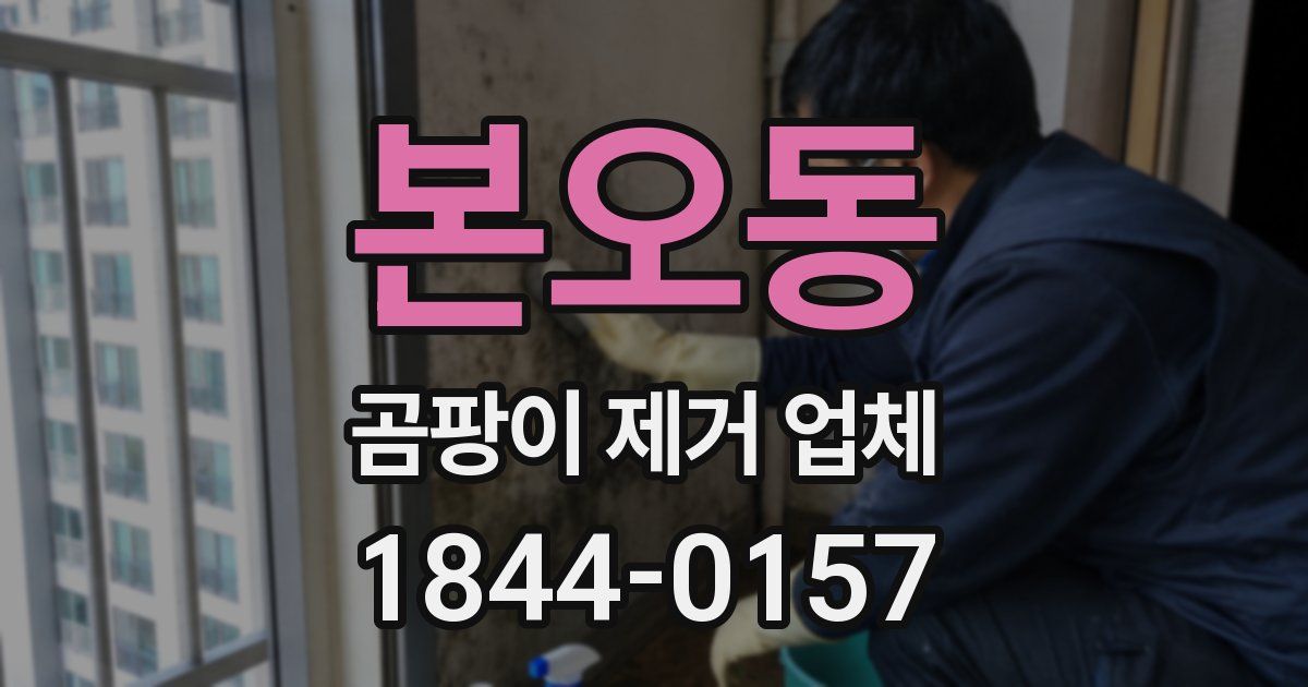 본오동 곰팡이 제거 업체