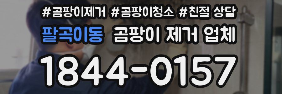 팔곡이동 곰팡이 제거 업체