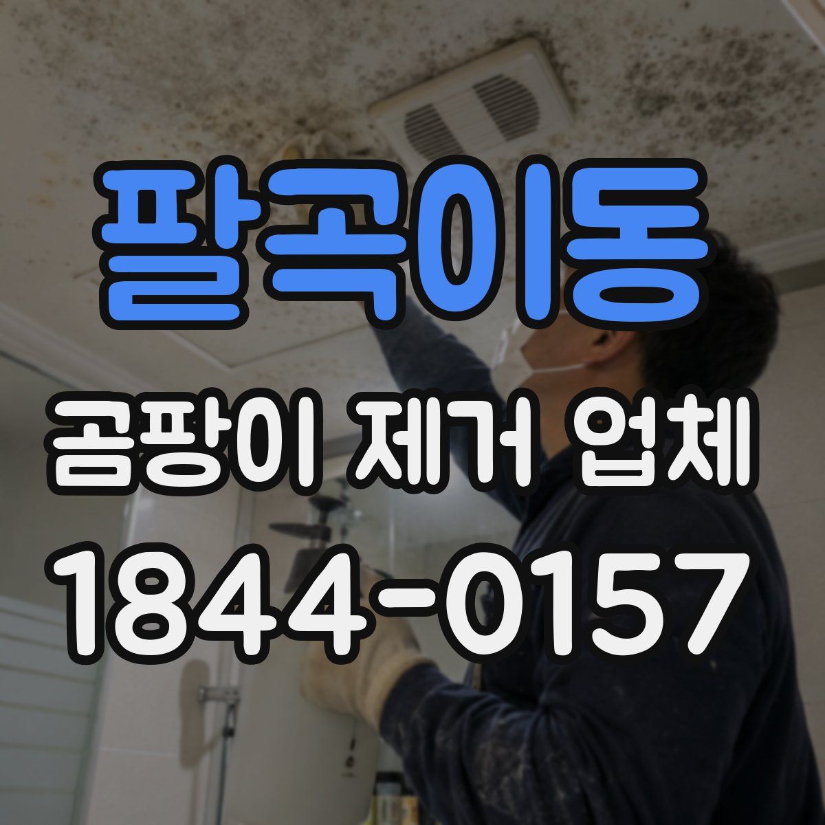 팔곡이동 곰팡이 제거 업체